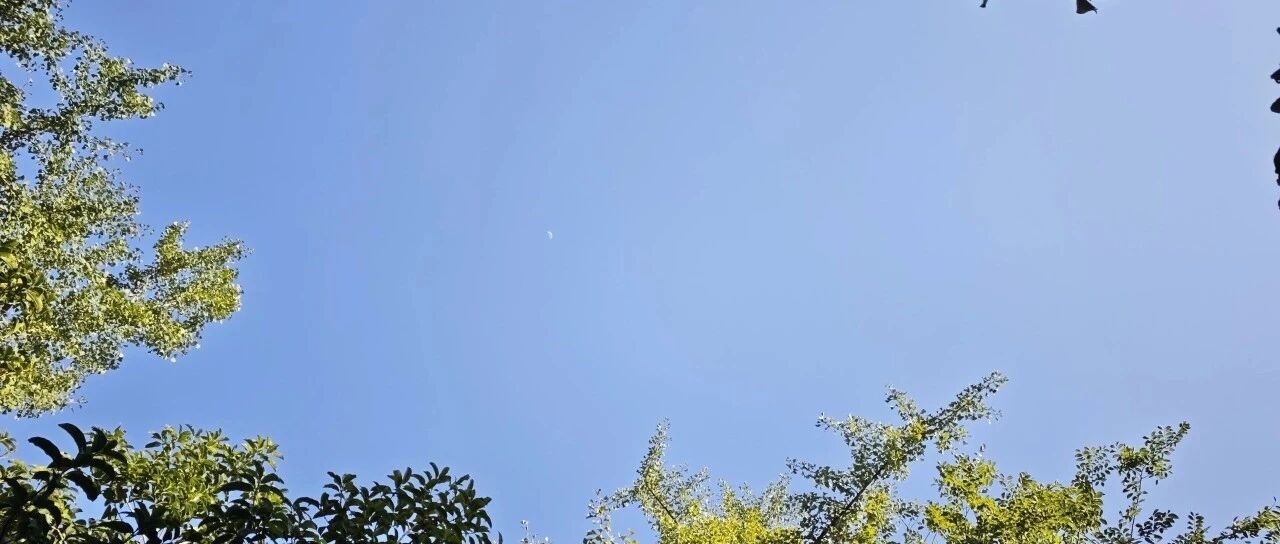 Featured image of post 消费主义陷阱，苦行僧