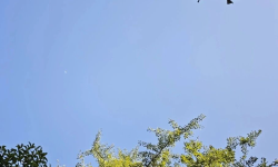 Featured image of post 消费主义陷阱，苦行僧