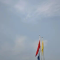 财务自由还是时间自由