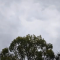 空调一夜转向的随想