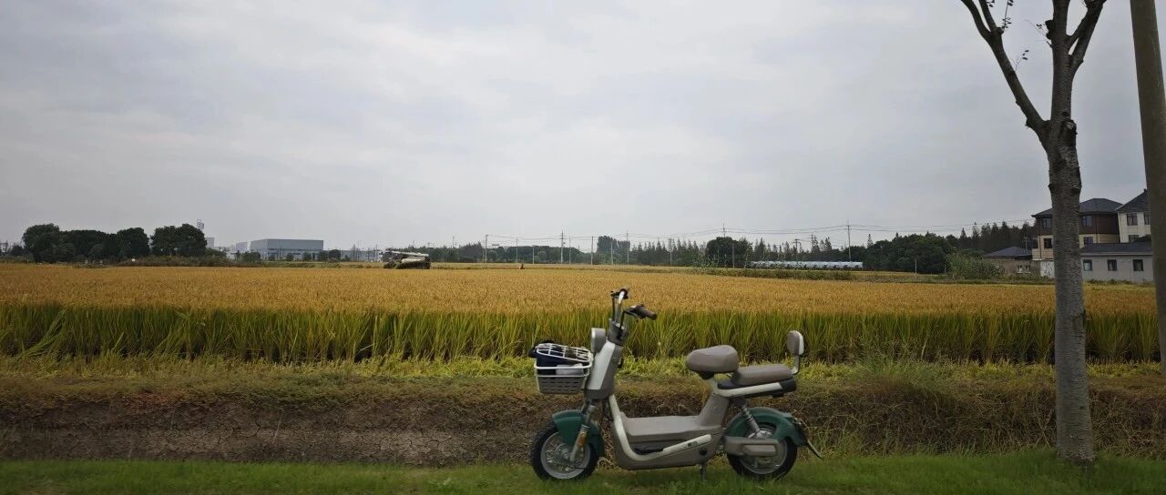 Featured image of post 调整写字的作息和节奏