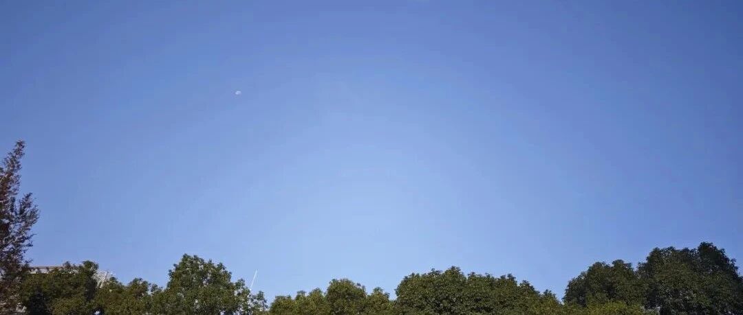 Featured image of post 一个我们意料之外的房地产大空头