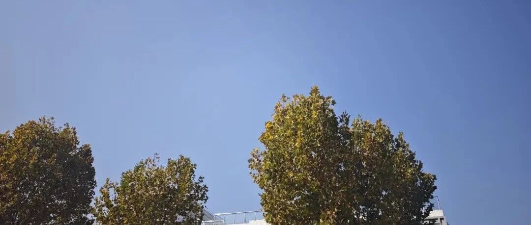 Featured image of post 几句真话，以及如何找到未来的方向