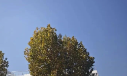 Featured image of post 几句真话，以及如何找到未来的方向