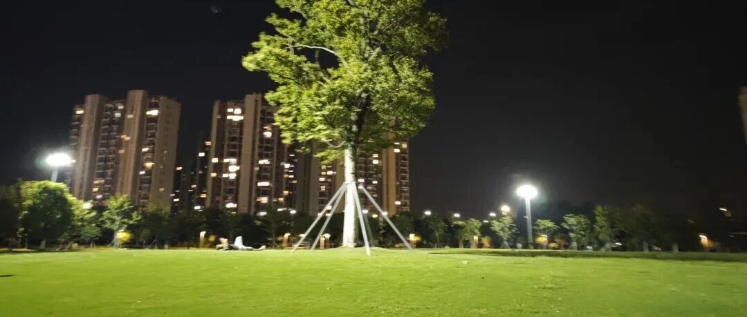 Featured image of post 为什么跑步被如此广泛地关注