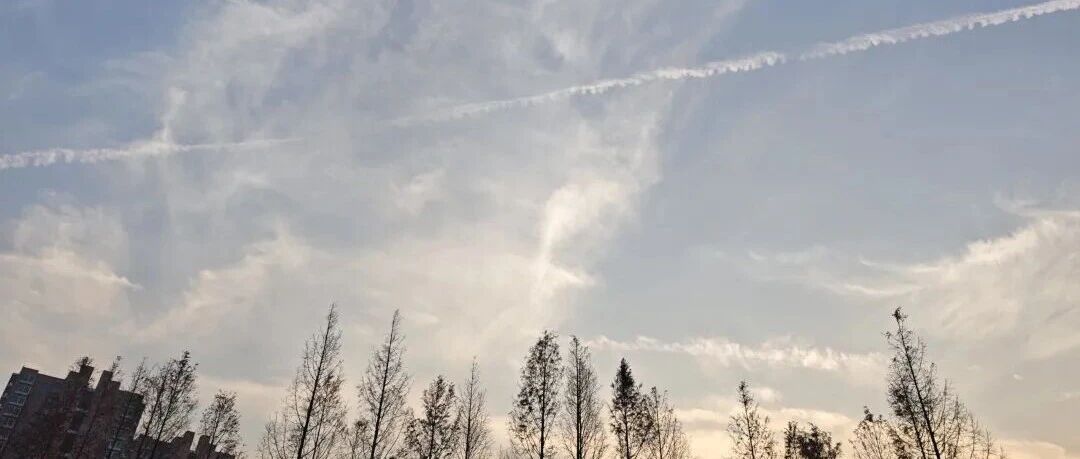 Featured image of post 道友，还是把烟戒了吧