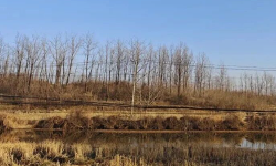 Featured image of post 春节回乡见闻2026