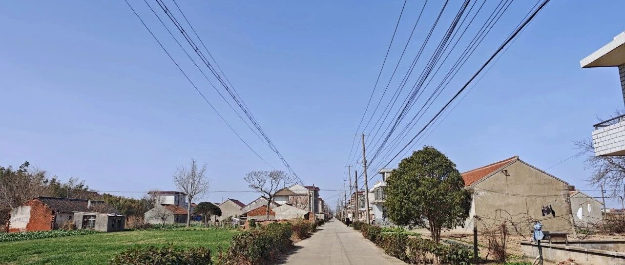 Featured image of post 关于乡村的一些新思考
