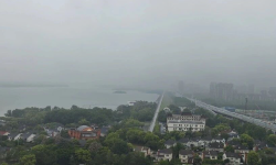 Featured image of post 尽早适应作为普通人的定位