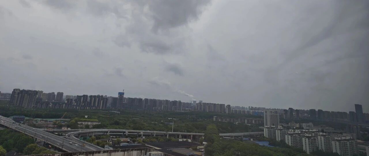 Featured image of post 减重是刻不容缓的事情