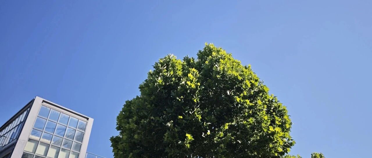 Featured image of post 又到一年毕业季