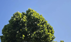 Featured image of post 又到一年毕业季