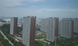 Featured image of post 2026年上半年房地产数据发布